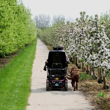 Fruitbedrijf Stek