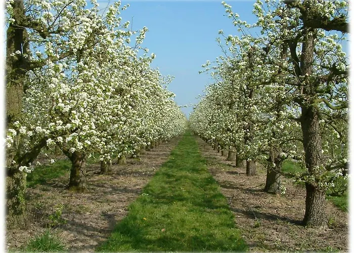 Fruitbedrijf Stek Holiday home