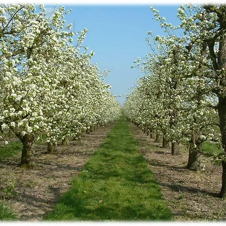 Fruitbedrijf Stek Hébergement de vacances